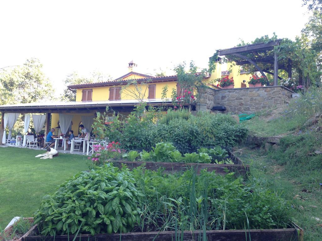 ארצו Agriturismo Borgo Nuovo Di Mulinelli מראה חיצוני תמונה